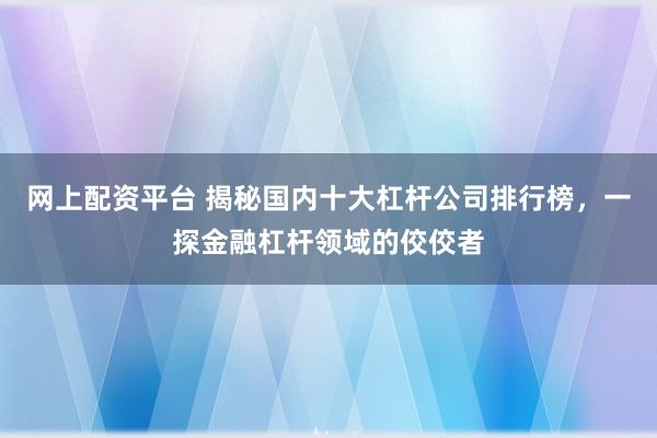 网上配资平台 揭秘国内十大杠杆公司排行榜，一探金融杠杆领域的佼佼者